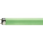 Philips MASTER Massive TL-D 36W 17 G13 barevná lineární zářivka – Zboží Živě