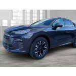 Cupra Terramar 1.5 eTSI DSG 110 kW