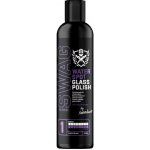 SWAG Water Spot Glass Polish 250 ml – Sleviste.cz