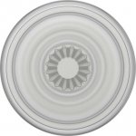 PopSockets PopGrip Plant Faded Stone 805500 – Hledejceny.cz