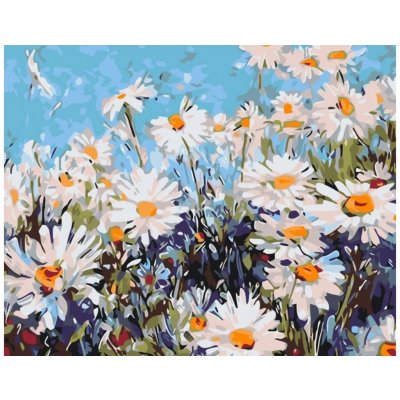 MALUJEŠ KOPRETINY Rozměr 30 x 40 cm Rámování vypnuté plátno na rám – Sleviste.cz