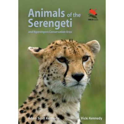 Animals of the Serengeti Kennedy Adam Scott