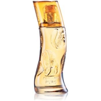 Parfums Café Café-Café Puro toaletní voda pánská 30 ml