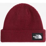 The North Face Zimní čepice Salty Lined Beanie burgundy crush – Hledejceny.cz