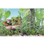 Hailea pozadí Grassy S 41 cm x 1 m – Zboží Dáma