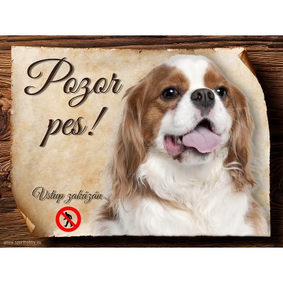 Sport hobby Cedulka Kavalír King Charles španěl Pozor pes zákaz 15 x 11 cm – Zbozi.Blesk.cz