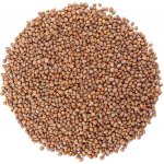 ZdravýDen Bio ředkvička semena na klíčení 200 g – Zboží Dáma