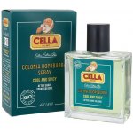 Cella Bio Afteshave Cologne Cool and Spicy kolínská voda po holení 100 ml – Hledejceny.cz