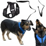 KIK Postroj pro psy s vodítkem – Zbozi.Blesk.cz
