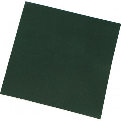 Samolepicí záplata nylonová Varianta: 524 zelená tmavá, Balení: 1 sáček – Hledejceny.cz