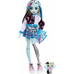 Mattel MONSTER HIGH FRANKIE STEIN – Zboží Mobilmania