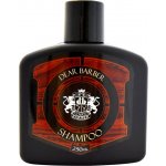 Dear Barber šampon na vousy a vlasy 250 ml – Zbozi.Blesk.cz