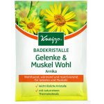 Kneipp Arnika sůl do koupele 60 g – Zboží Mobilmania