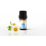 Bewit Rmen Esenciální olej 5 ml – Hledejceny.cz