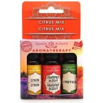 Altevita Esenciální oleje set Citrus mix 3 x 10 ml – Hledejceny.cz