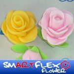 Smartflex Flover Vanilka 250 g – Zboží Dáma