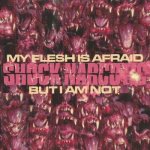 Shock Narcotic: My Flesh Is Afraid But I Am Not LP – Hledejceny.cz