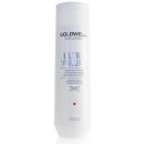 Goldwell Dualsenses Ultra Volume Bodifying Shampoo 250 ml