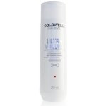 Goldwell Dualsenses Ultra Volume Bodifying Shampoo 250 ml – Zboží Dáma