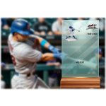 Skleněná trofej na dřevěném podstavci Baseball 17 cm – Hledejceny.cz