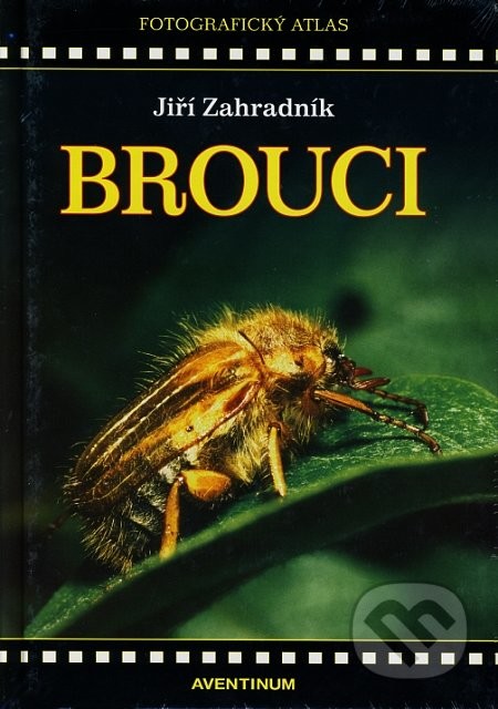 Brouci - Jiří Zahradník