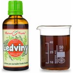Bylinné kapky Ledviny I kapky tinktura 50 ml – Hledejceny.cz