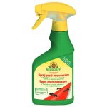 Neudorff Loxiran přípravek proti mravencům 250 ml sprej – Zboží Dáma