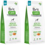Brit Care Grain Free Adult Large Breed Salmon 2 x 12 kg – Hledejceny.cz
