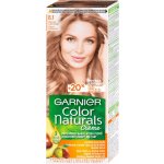 Garnier Color Naturals světlá blond popelavá 8.1 – Zbozi.Blesk.cz