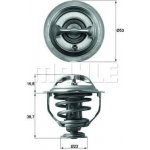 BEHR THERMOT-TRONIK Termostat chladiva BH TX 117 95D | Zboží Auto