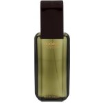 Antonio Puig Quorum Silver toaletní voda pánská 100 ml – Hledejceny.cz