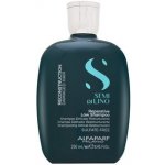 Alfaparf Semi di Lino Hair Shampoo na poškozené 250 ml – Hledejceny.cz