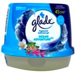 Glade gel japonská zahrada 150 g – Zbozi.Blesk.cz