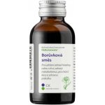 Dědek kořenář Novy Borůvková směs CK + Očistec 100 ml – Hledejceny.cz