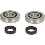 RMS Ložiska NTN + gufera Piaggio železná klec 100200312 | Zboží Auto