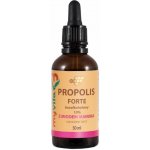 MyVita Propolis Forte bez alkoholu 10% s medem Manuka 50 ml – Hledejceny.cz