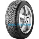 Osobní pneumatika Dayton DW510 205/50 R17 93V