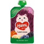 Hami Lesní ovoce kapsička 100g – Zboží Mobilmania
