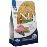 N&D Ancestral Grain Dog Adult Medium & Maxi Lamb & Blueberry 12 kg – Sleviste.cz