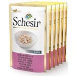 Schesir Cat Adult Kuře a šunka 50 g – Zboží Mobilmania