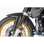 BMW R 1250 GS (2019+) KARBONOVÝ BLATNÍK
