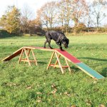 Trixie Agility lávka 456 x 64 x 30 cm do 80kg – Hledejceny.cz