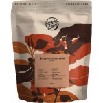 Instytut Kawy Institute Brazil Cemorrado zrnková 1 kg – Hledejceny.cz