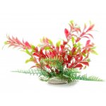 JK ANIMALS Ludwigia červenozelená 14–17 cm – Zboží Mobilmania