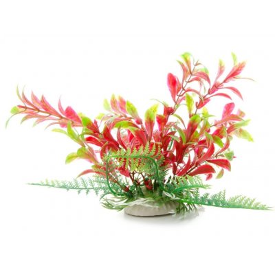 JK ANIMALS Ludwigia červenozelená 14–17 cm – Zboží Mobilmania