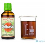 Bylinné kapky Odkašlávání tinktura 50 ml – Hledejceny.cz