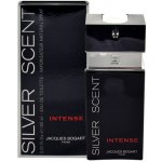 Jacques Bogart Silver Scent Intense toaletní voda pánská 100 ml – Sleviste.cz