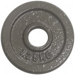 FitnessLine Kotouč litinový 30 mm - 1,25 kg – Zboží Dáma