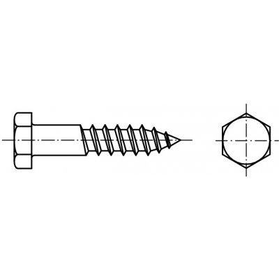 PROFISTYL DIN 571 vrut do dřeva se šestihrannou hlavou nerez A2 Varianta: DIN 571 vrut se šestihrannou hlavou A2 6,0x060 – Hledejceny.cz