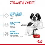 Royal Canin Starter Mother&Babydog Giant 15 kg – Hledejceny.cz